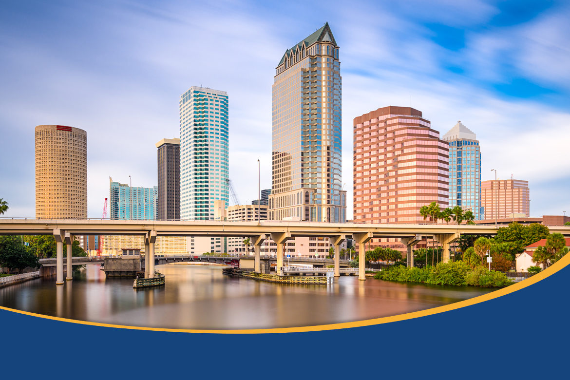 Tampa Bay Skyline graphic