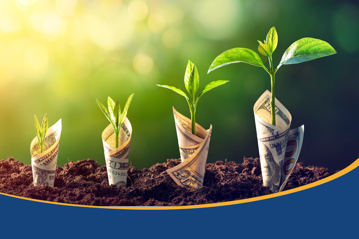 TP CDs vs Money Market Accounts - Understanding Your Options BLOG Graphic