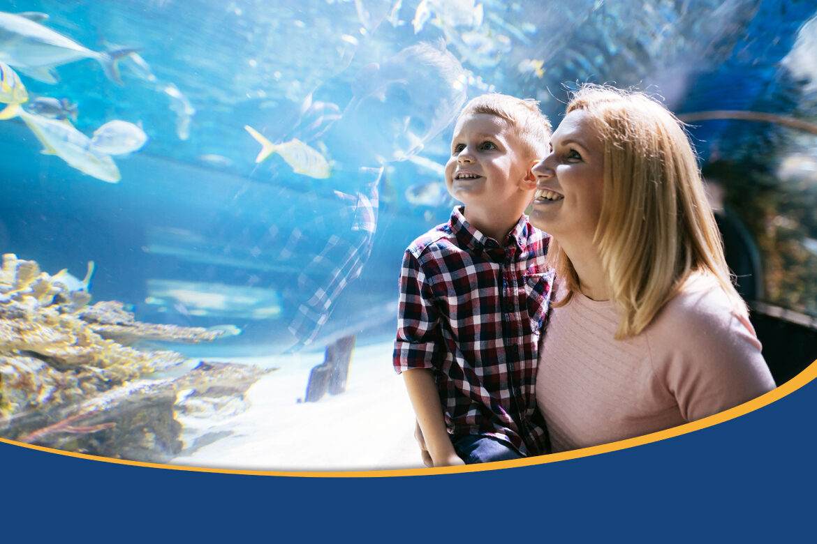 TP Affordable Summer Adventures for the Whole Family BLOG Graphic